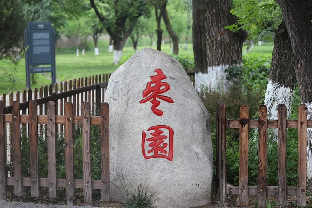 图片10.png 图片10.png